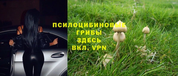 альфа пвп Кулебаки