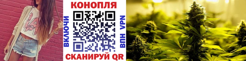 Марихуана планчик  omg вход  Ермолино 